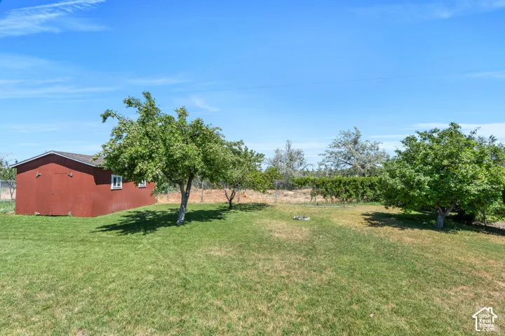 Expansive lawn area with mature trees and a dedicated outbuilding