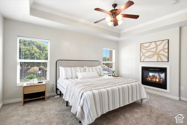 Recessed ceiling with crown molding, ceiling fan, dual windows, built-in fireplace, and carpeted flooring