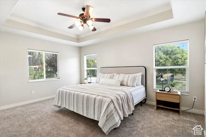 Tray ceiling with crown molding and ceiling fan, neutral wall tones, two windows with blinds, and carpeted flooring