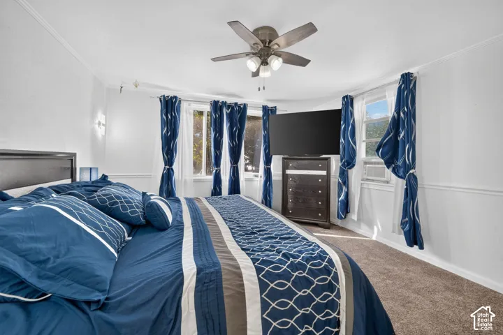 White walls with crown molding, ceiling fan with integrated lighting, multiple windows, and carpet flooring