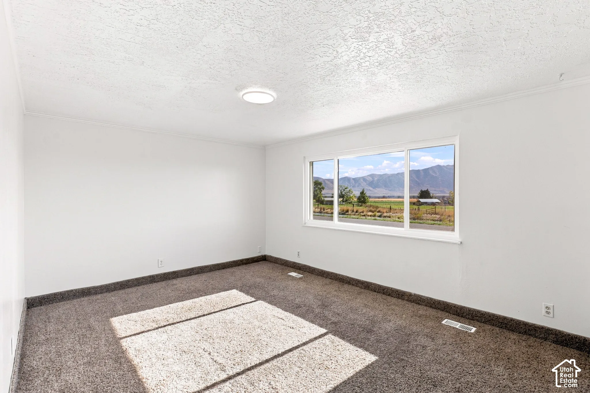 Expansive window with mountain backdrop