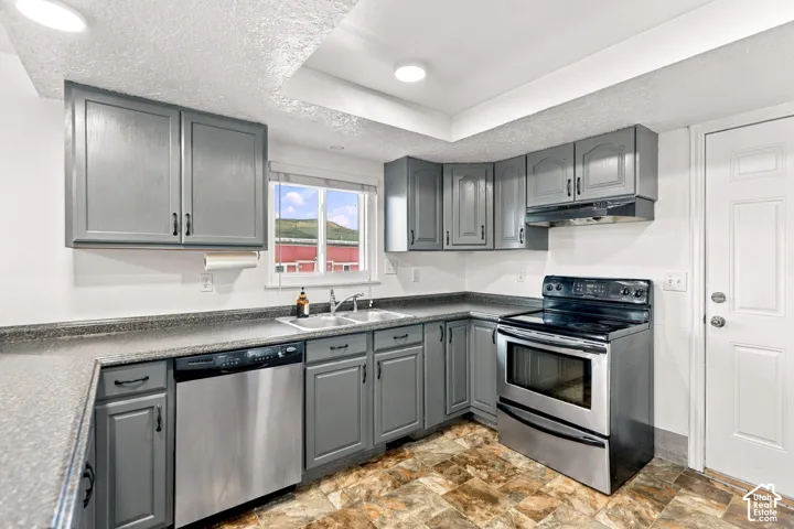 Kitchen featuring grey cabinetry, stainless steel appliances, a double basin sink, and wood-finish flooring