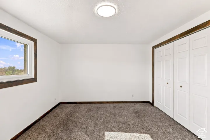 White walls, dark wood-finish trim, plush grey carpeting, and a flush-mount ceiling light fixture