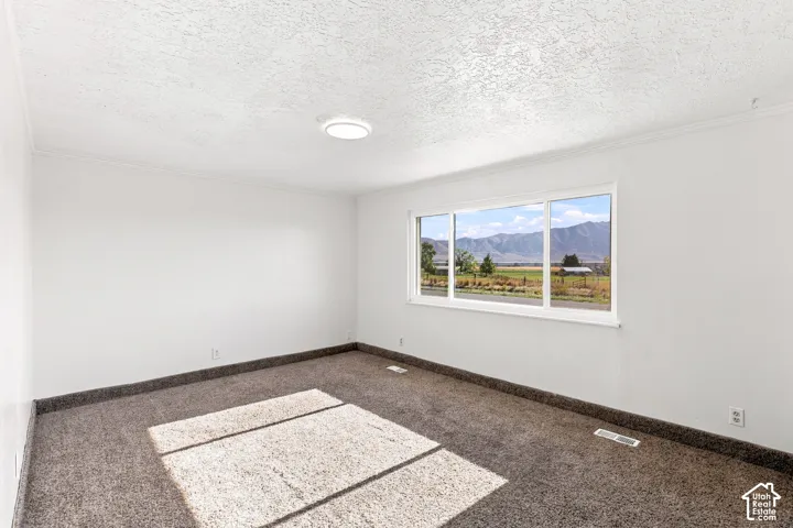 Expansive window with mountain backdrop