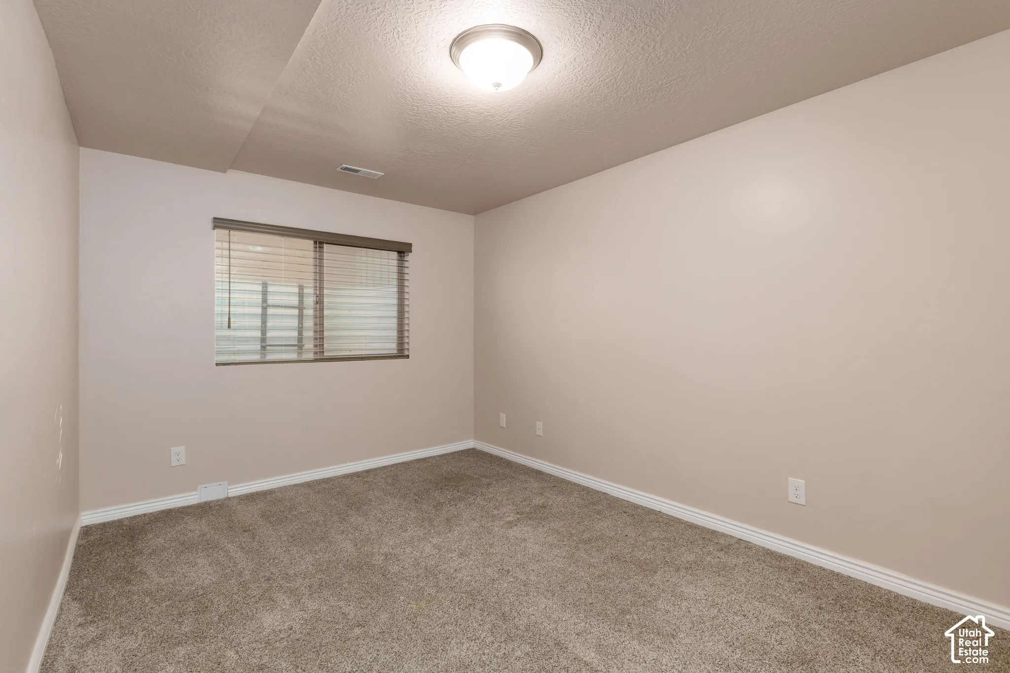 Neutral-toned walls, textured ceiling, flush mount ceiling light, carpeted flooring, window with blinds