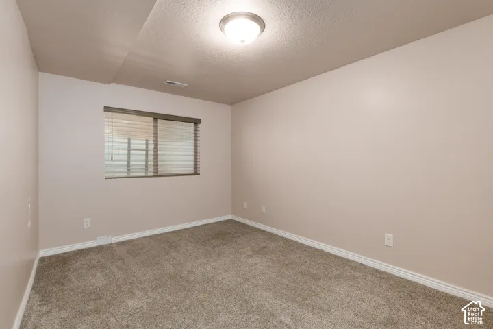 Neutral-toned walls, textured ceiling, flush mount ceiling light, carpeted flooring, window with blinds
