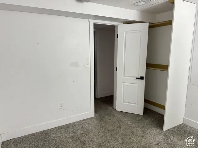 White interior doors with black hardware