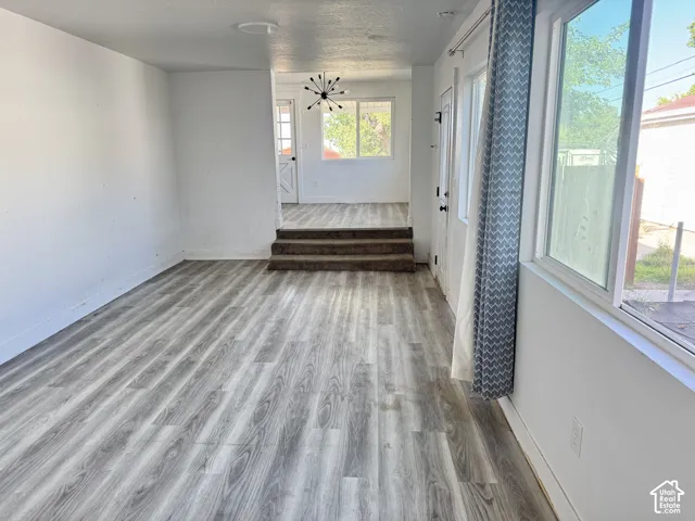 Wood-finish flooring, white painted walls, and a multi-pane window with a light-colored frame