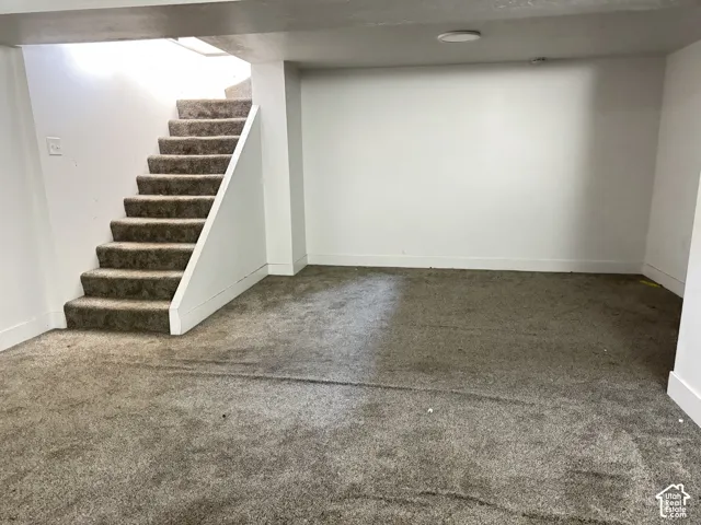 Carpeted stairway with white risers, leading to a carpeted lower level
