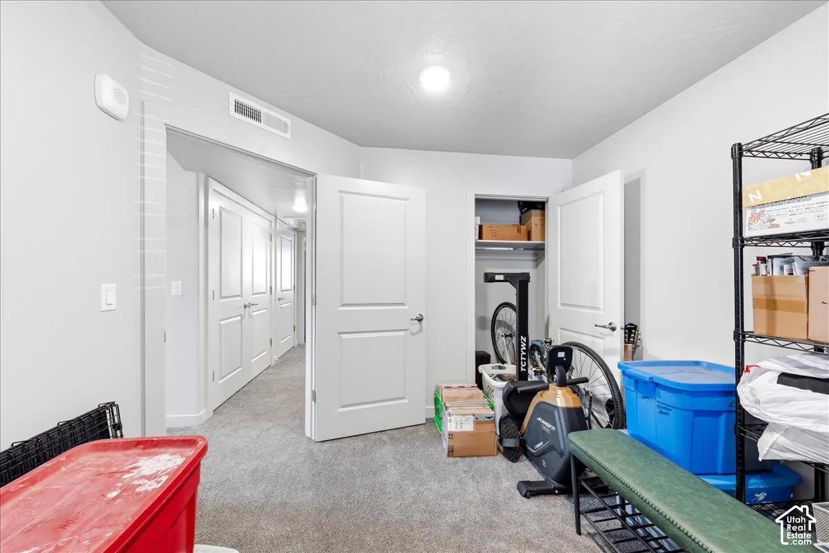 Plush carpet flooring, a built-in closet with shelving, and a hallway featuring multiple doors