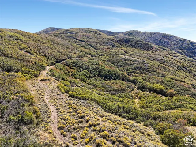 Expansive hillside terrain featuring diverse vegetation