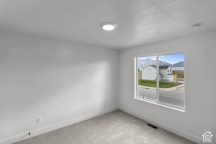 White walls, light-colored carpeting, and a contemporary flush-mount ceiling light