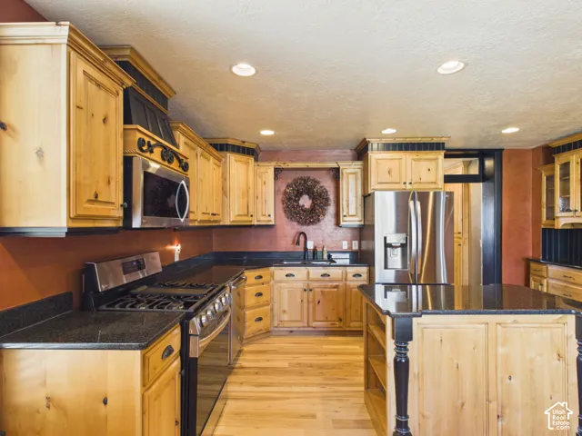 Kitchen featuring light wood cabinetry, dark countertops, wood-finish flooring, recessed lighting, and stainless steel appliances