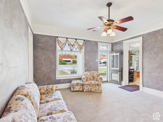 Textured wall finish, ceiling fan with integrated lighting, white trim and molding, white-framed window, and patterned carpet flooring
