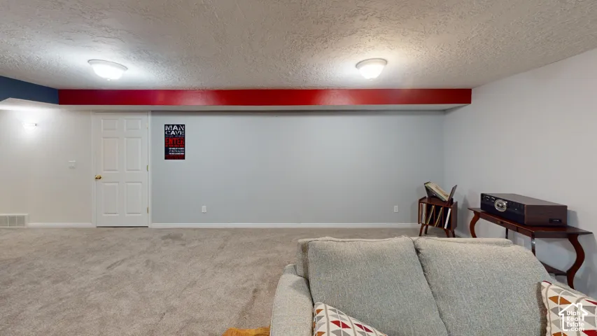 Wall-to-wall carpeting with light gray walls and a white six-panel door