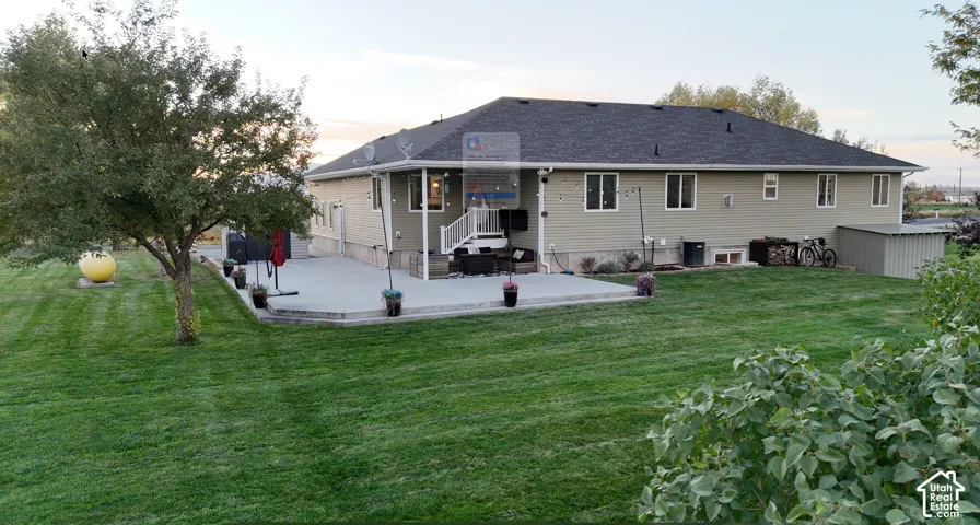 Expansive lawn with mature trees, a concrete patio, and a utility shed
