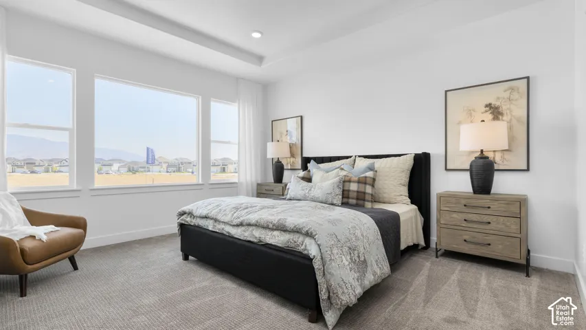 Wall-to-wall carpeting, multiple large windows, and a tray ceiling