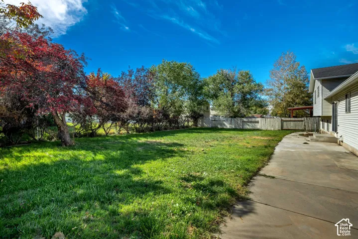 Expansive grassy yard with mature trees and a concrete patio