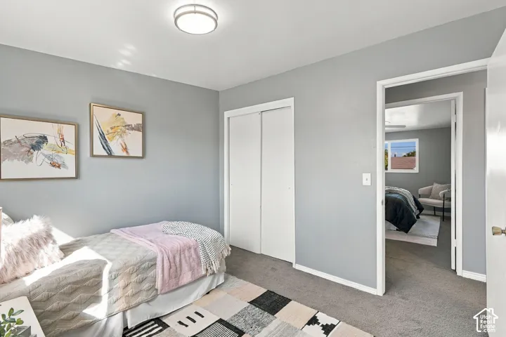 Gray wall finish, ceiling-mounted light fixture, sliding closet doors, and gray carpet flooring
