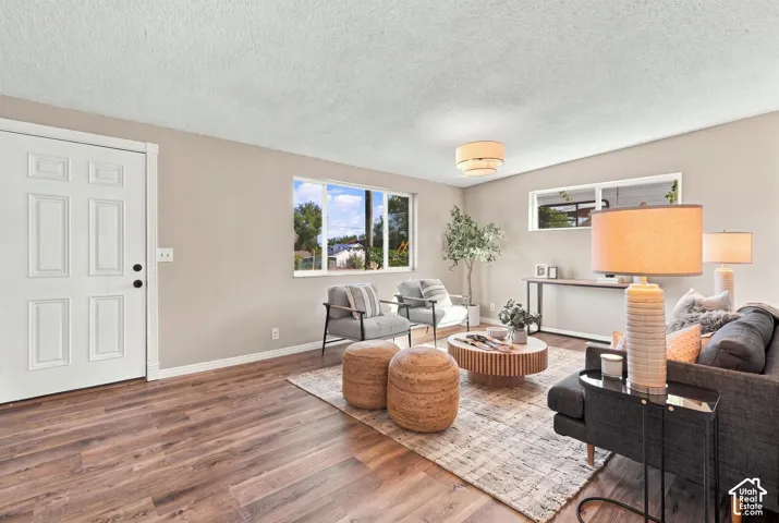 Wood-finish flooring, white paneled door, multiple windows, and a flush mount ceiling light fixture