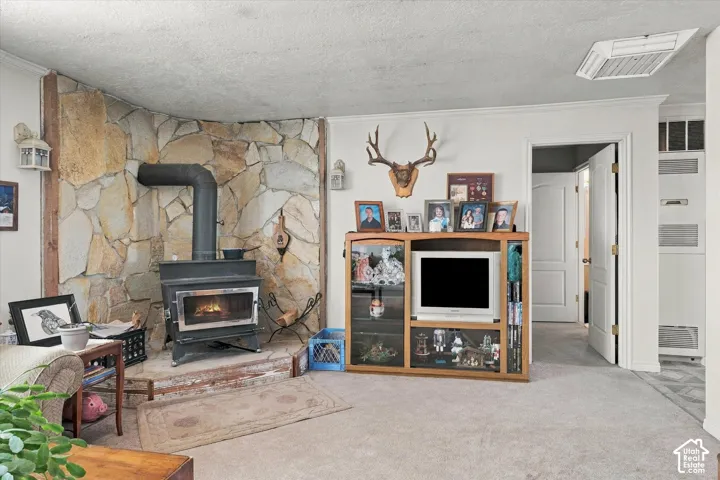Stone-accented wall featuring a wood-burning stove with a metal flue