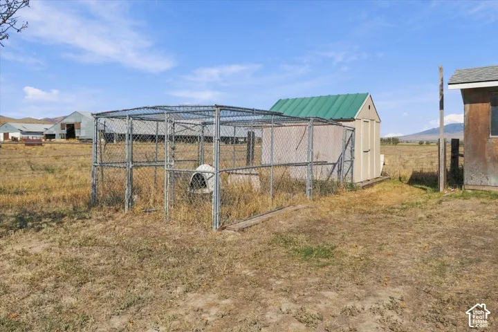 Chain-link fenced enclosure with an adjacent storage shed featuring a green metal roof