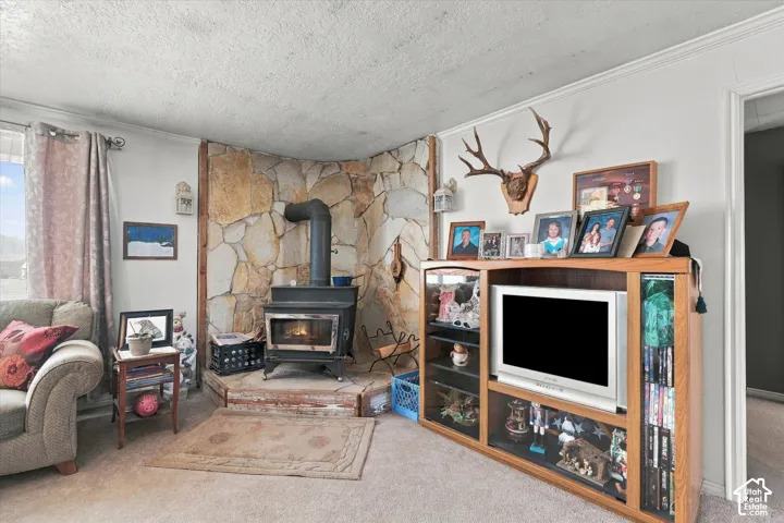 Stone-clad accent wall featuring a wood-burning stove with a metal flue