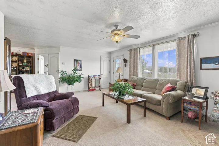 Bright and spacious living room featuring large multi-pane windows with natural light, ceiling fan with integrated lighting, neutral carpeting, and comfortable seating arrangements