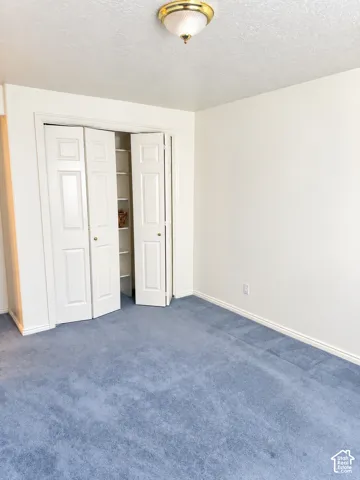 White walls, blue carpeting, bi-fold closet doors, built-in closet shelving, and a ceiling-mounted light fixture