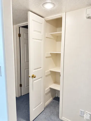 Built-in shelving, flush-mount ceiling light, white paneled door, blue carpet flooring, power outlets
