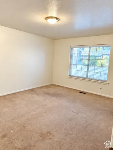 Recessed ceiling light fixture and window with blinds