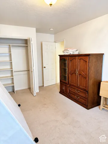 Built-in closet shelving, interior door with panel detailing, and a flush-mount ceiling light fixture