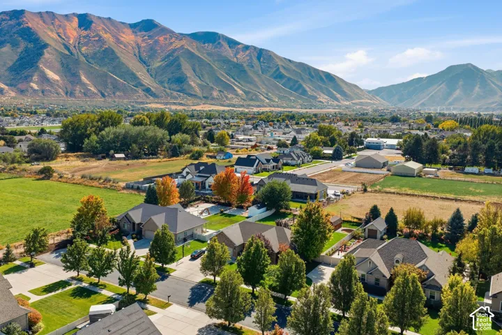 Residential neighborhood with diverse home styles, surrounded by green spaces and mature trees