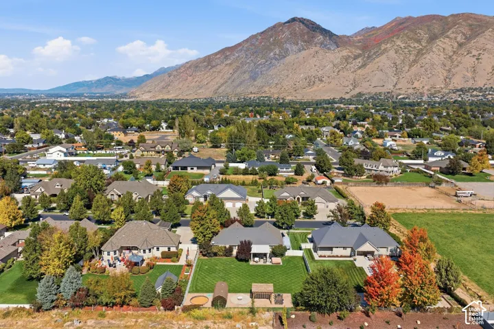 Expansive suburban landscape with mature trees and a prominent mountain backdrop