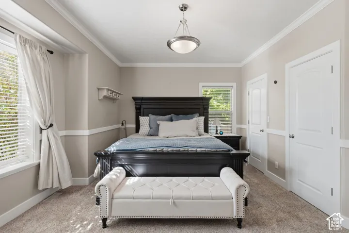 Carpeted flooring, crown molding, double windows with blinds, white paneled doors, and a ceiling-mounted light fixture