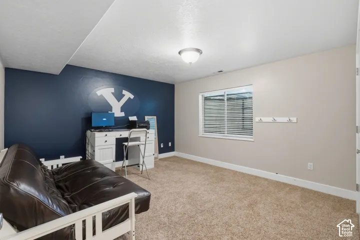 Carpeted flooring, recessed window with blinds, ceiling-mounted light fixture, white trim, and a built-in wall rack