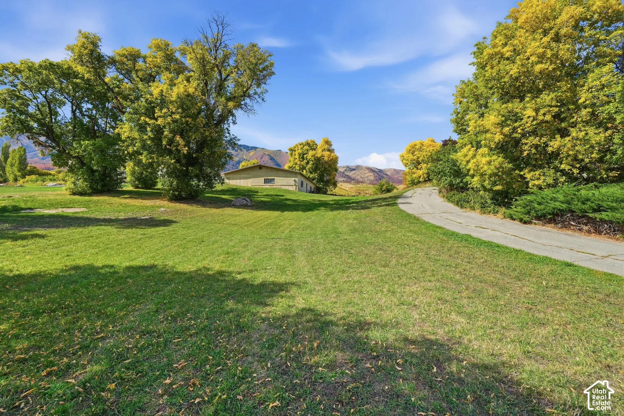 Expansive green lawn with mature deciduous trees, a paved driveway, and distant mountain scenery