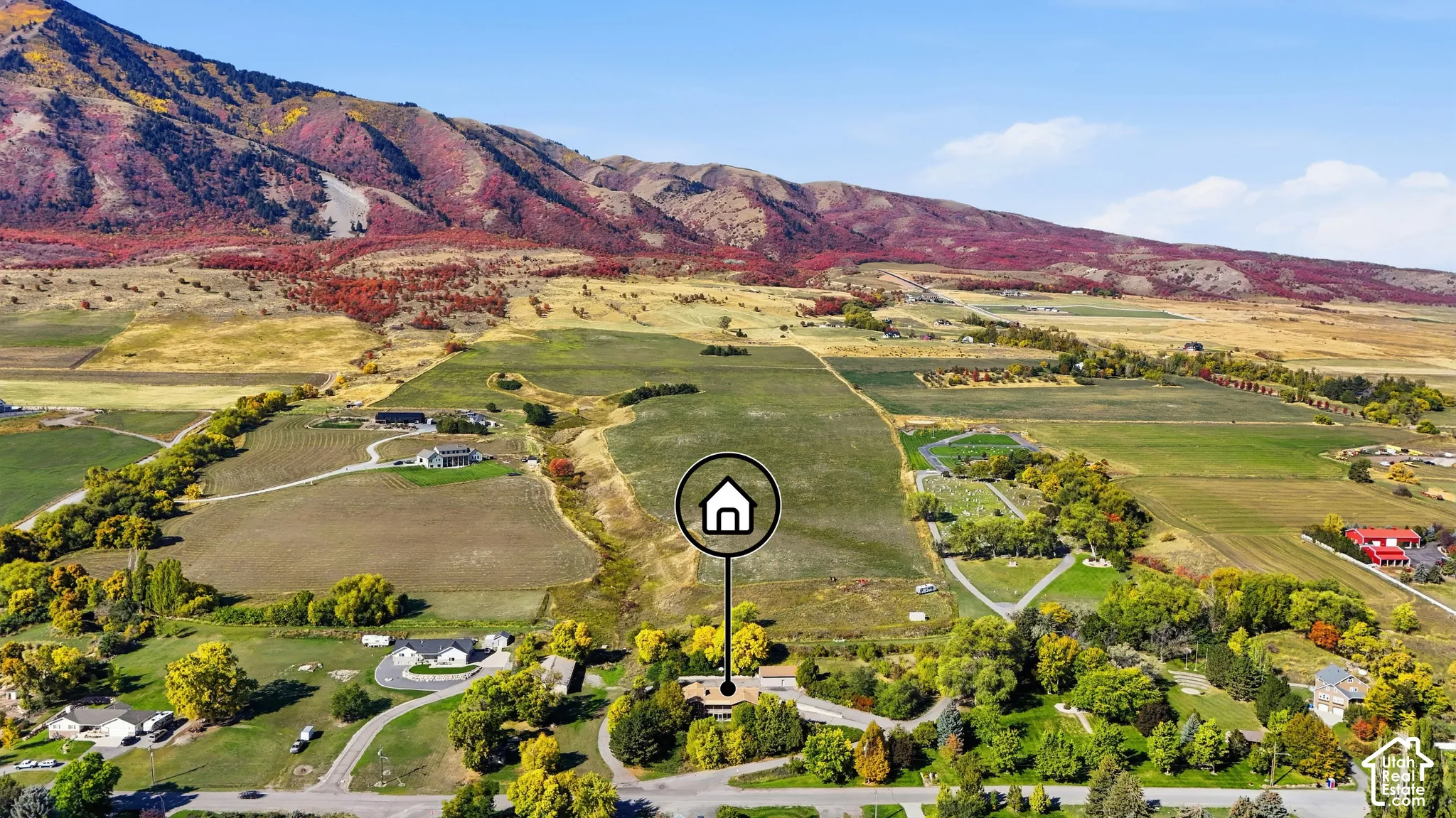 Expansive rural setting with a mountainous backdrop, featuring a large land parcel with established trees and surrounding agricultural fields