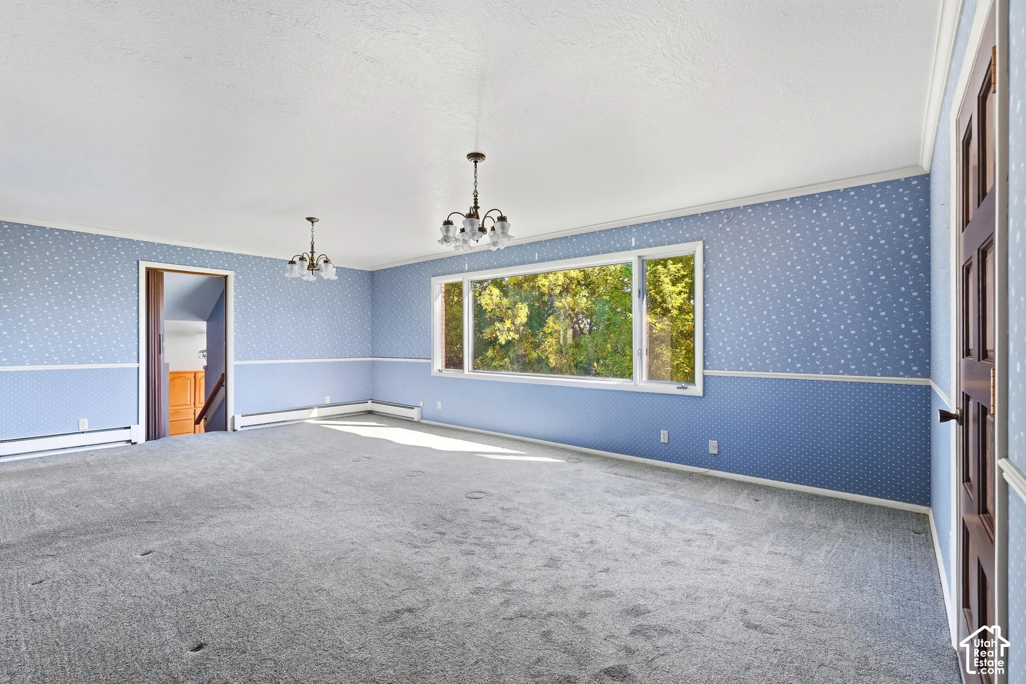Spacious room with patterned wallpaper, wall-to-wall carpeting, and multiple windows