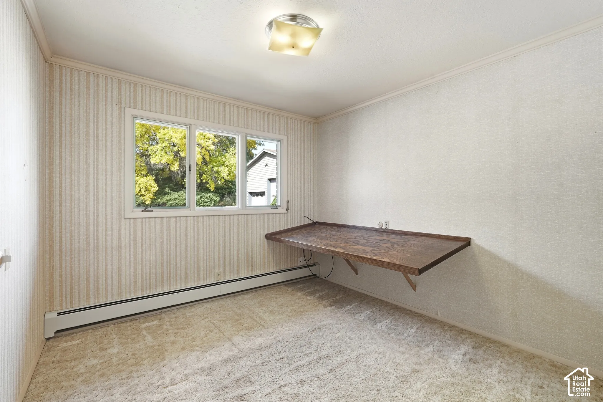Built-in wood-finish shelving, wall-to-wall carpeting, and a ceiling-mounted light fixture