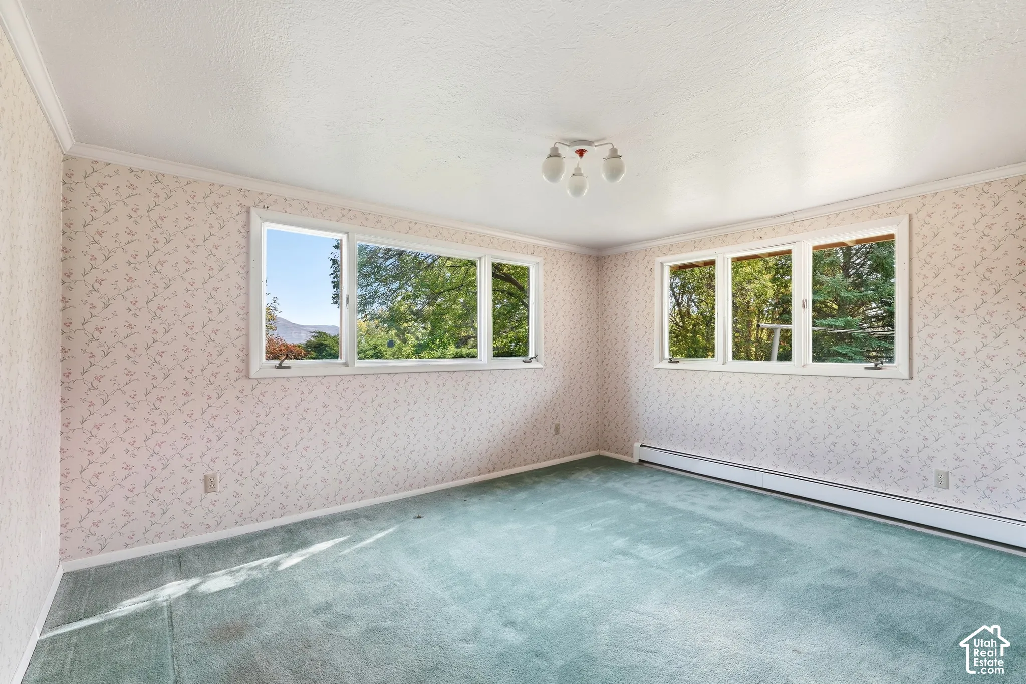 Room featuring multiple windows, a ceiling-mounted light fixture, and wall-to-wall carpeting