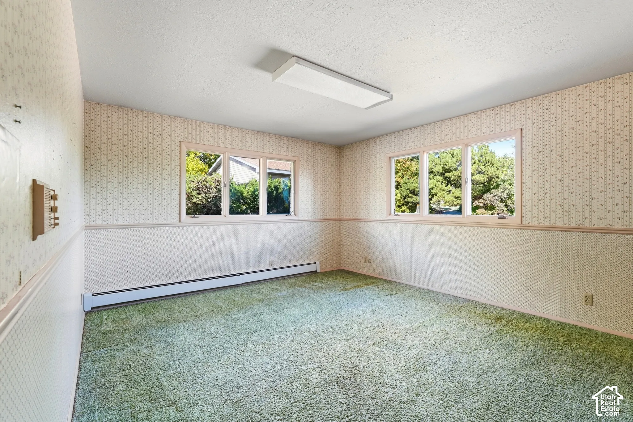 Spacious room featuring multiple windows, patterned wallpaper, and wall-to-wall carpeting