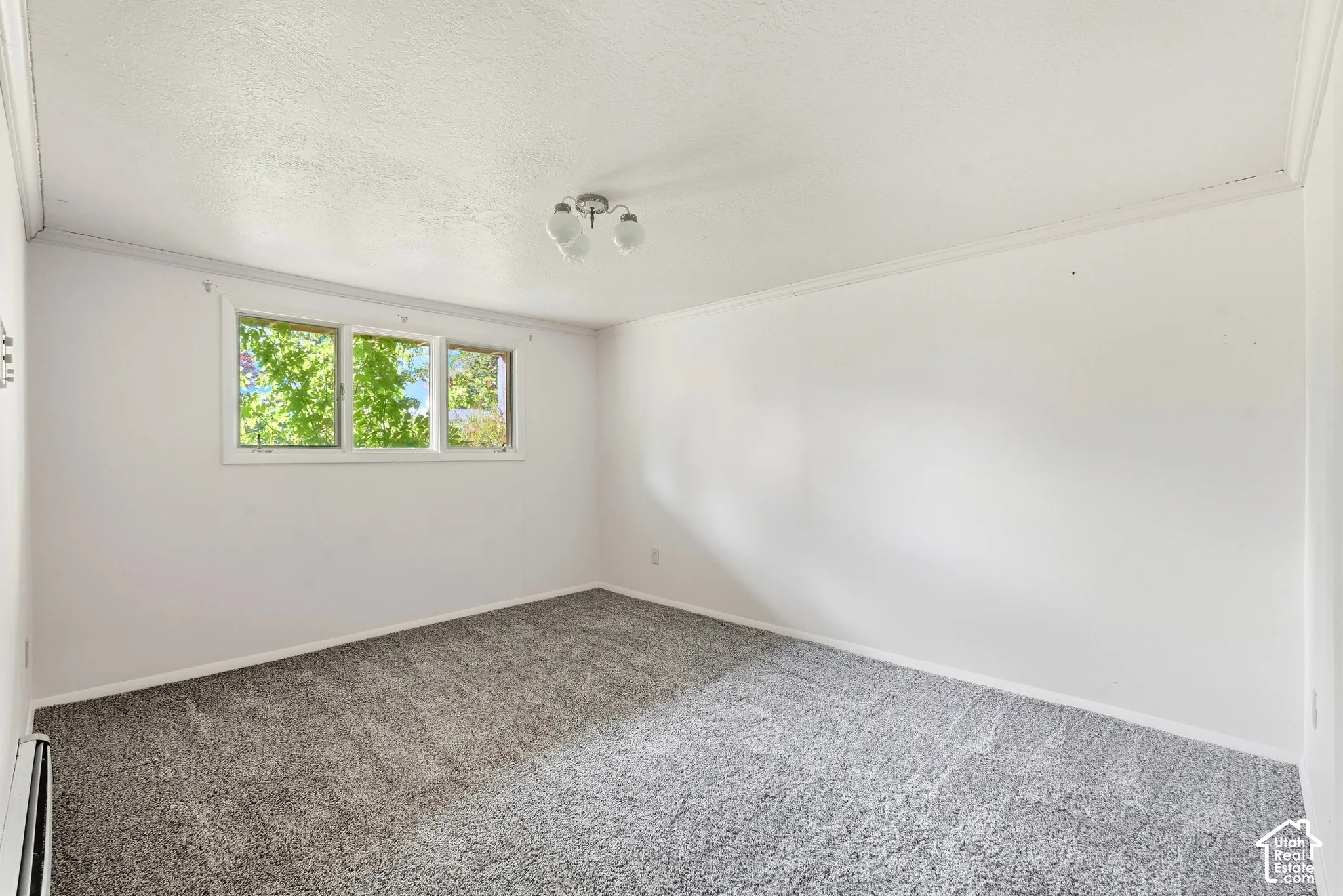 Wall-to-wall carpeting, multiple windows, ceiling-mounted light fixture, and white wall finishes