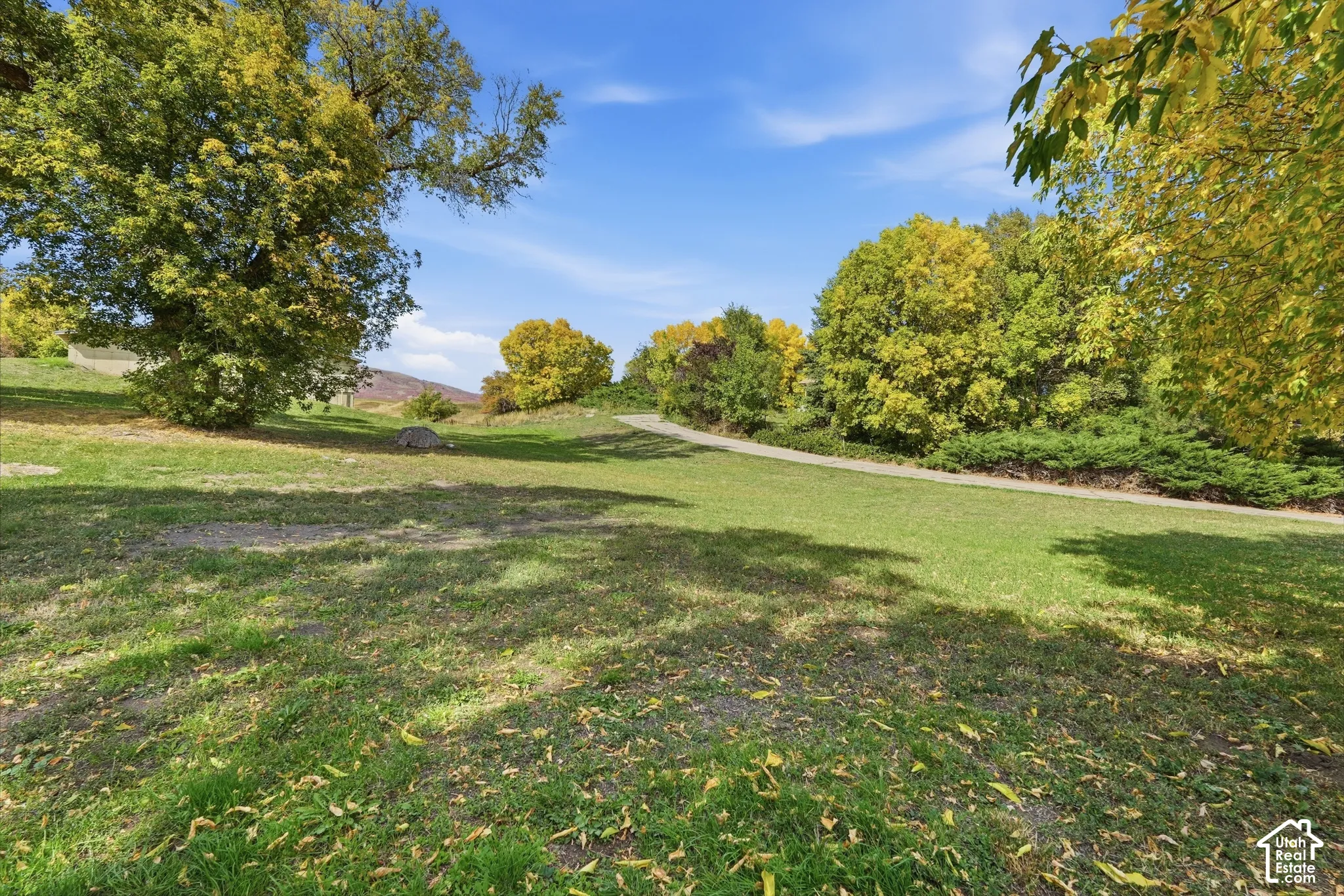 Expansive green space with mature trees, shrubbery, and a paved pathway