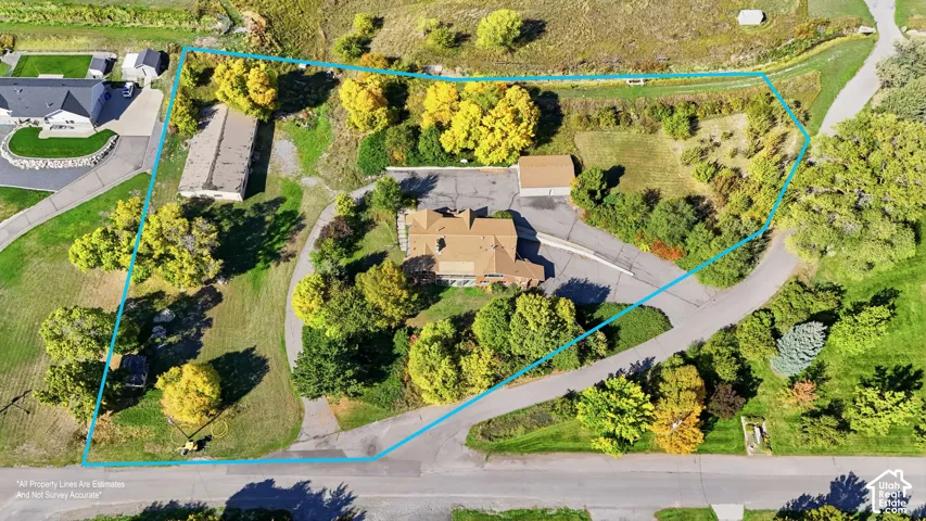 Expansive lot featuring mature trees, paved driveways, a detached building, and an additional garage structure