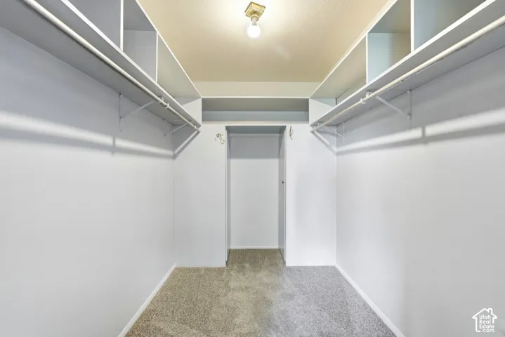 Walk-in closet featuring extensive shelving, dual hanging rods, and neutral-toned carpeting