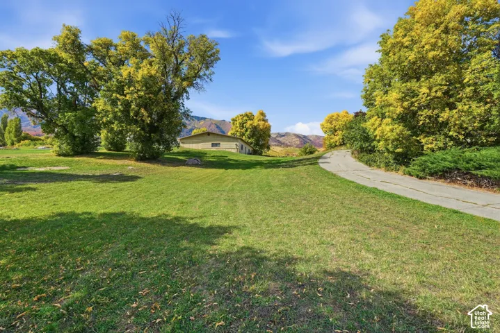 Expansive green lawn with mature deciduous trees, a paved driveway, and distant mountain scenery