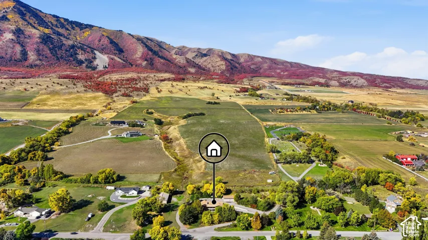 Expansive rural setting with a mountainous backdrop, featuring a large land parcel with established trees and surrounding agricultural fields