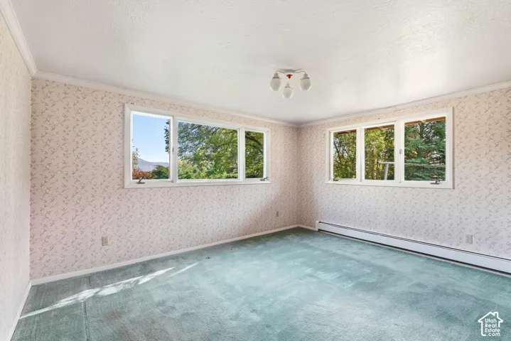 Room featuring multiple windows, a ceiling-mounted light fixture, and wall-to-wall carpeting