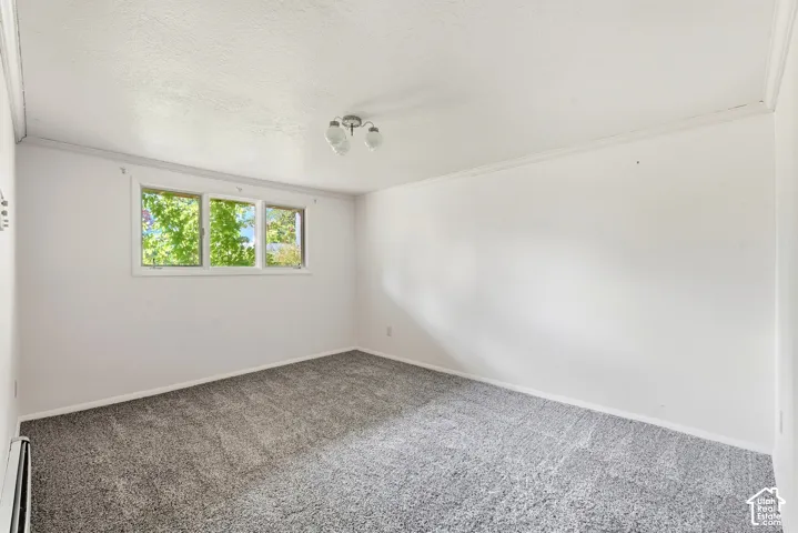 Wall-to-wall carpeting, multiple windows, ceiling-mounted light fixture, and white wall finishes